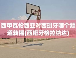 西甲瓦伦西亚对西班牙哪个频道转播(西班牙格拉纳达)