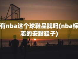 有nba这个球鞋品牌吗(nba标志的安踏鞋子)