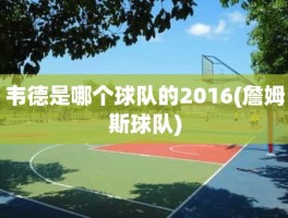 韦德是哪个球队的2016(詹姆斯球队)