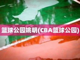 篮球公园姚明(CBA篮球公园)