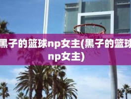 黑子的篮球np女主(黑子的篮球np女主)