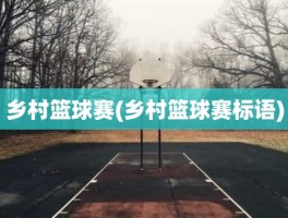 乡村篮球赛(乡村篮球赛标语)