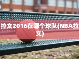 拉文2016在哪个球队(NBA拉文)