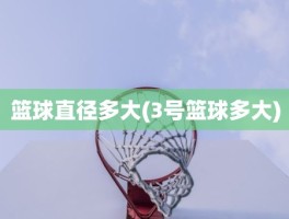 篮球直径多大(3号篮球多大)