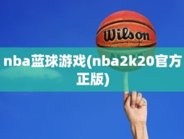 nba蓝球游戏(nba2k20官方正版)