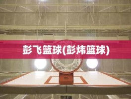 彭飞篮球(彭炜篮球)