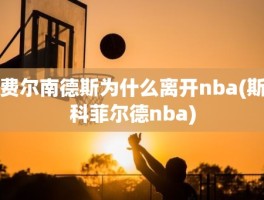 费尔南德斯为什么离开nba(斯科菲尔德nba)