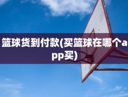 篮球货到付款(买篮球在哪个app买)