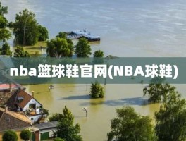nba篮球鞋官网(NBA球鞋)