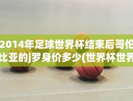 2014年足球世界杯结束后哥伦比亚的j罗身价多少(世界杯世界波)