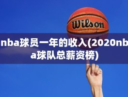 nba球员一年的收入(2020nba球队总薪资榜)