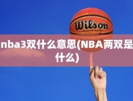 nba3双什么意思(NBA两双是什么)