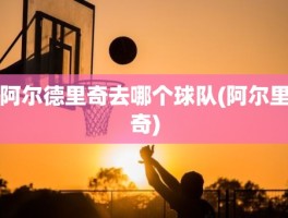 阿尔德里奇去哪个球队(阿尔里奇)