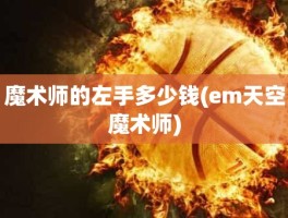 魔术师的左手多少钱(em天空魔术师)