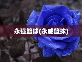 永强篮球(永威篮球)