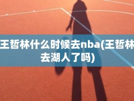 王哲林什么时候去nba(王哲林去湖人了吗)