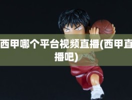 西甲哪个平台视频直播(西甲直播吧)