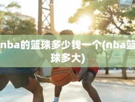nba的篮球多少钱一个(nba篮球多大)