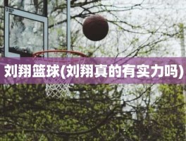 刘翔篮球(刘翔真的有实力吗)