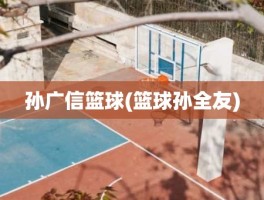 孙广信篮球(篮球孙全友)