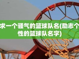 求一个骚气的篮球队名(励志个性的篮球队名字)