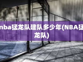 nba猛龙队建队多少年(NBA猛龙队)