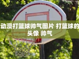 动漫打篮球帅气图片 打篮球的头像 帅气