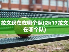 拉文现在在哪个队(2k17拉文在哪个队)