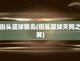 街头篮球猴岛(街头篮球天狗之翼)