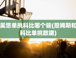 吴悠单挑科比哪个输(詹姆斯和科比单挑数据)