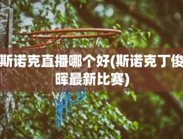 斯诺克直播哪个好(斯诺克丁俊晖最新比赛)