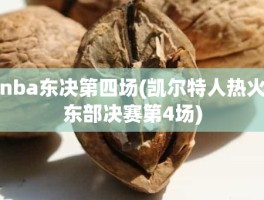 nba东决第四场(凯尔特人热火东部决赛第4场)