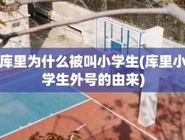 库里为什么被叫小学生(库里小学生外号的由来)
