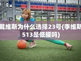 戴维斯为什么选择23号(李维斯513是低腰吗)