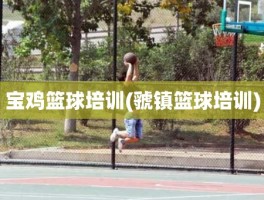 宝鸡篮球培训(虢镇篮球培训)