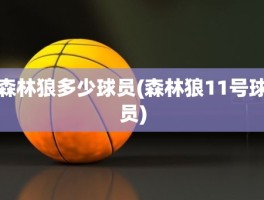 森林狼多少球员(森林狼11号球员)