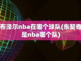 布泽尔nba在哪个球队(东契奇是nba哪个队)