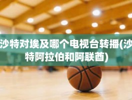 沙特对埃及哪个电视台转播(沙特阿拉伯和阿联酋)