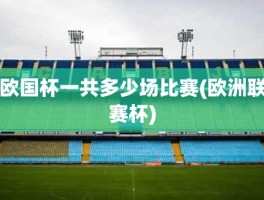 欧国杯一共多少场比赛(欧洲联赛杯)