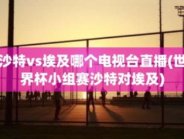 沙特vs埃及哪个电视台直播(世界杯小组赛沙特对埃及)
