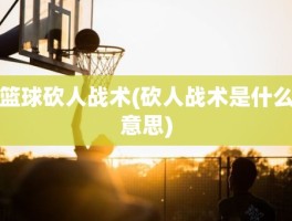 篮球砍人战术(砍人战术是什么意思)