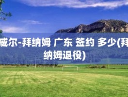 威尔-拜纳姆 广东 签约 多少(拜纳姆退役)