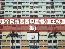 哪个网站看西甲直播(国王杯直播)