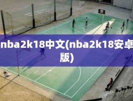 nba2k18中文(nba2k18安卓版)