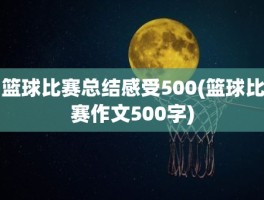 篮球比赛总结感受500(篮球比赛作文500字)