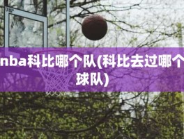 nba科比哪个队(科比去过哪个球队)