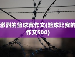 激烈的篮球赛作文(篮球比赛的作文500)