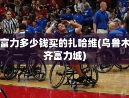 富力多少钱买的扎哈维(乌鲁木齐富力城)