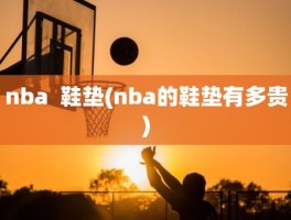 nba  鞋垫(nba的鞋垫有多贵)