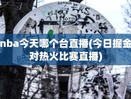 nba今天哪个台直播(今日掘金对热火比赛直播)